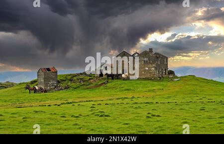 Bella islandese solitario tranquillo paesaggio rurale, abbandonato vecchio idilliaco casa colonica rovina su collina verde con cavalli mandria, nuvole buie tempesta - Islanda Hi Foto Stock