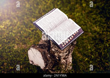 sacra bibbia su oratorio rustico in legno in mezzo alla natura, il concetto di fede, lo studio della bibbia e la preghiera, la meditazione. simbolo della religione cristiana, easte Foto Stock