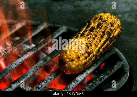 granoturco alla griglia su carbone di fuoco, prelibatezze street food Foto Stock