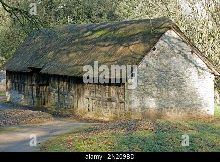 Stryd Lydan cruck e fienile con struttura in legno, 1550 circa. Museo nazionale di storia di St Fagans. Amgueddfa Werin Cymru. . Preso nel gennaio 2023. Inverno Foto Stock