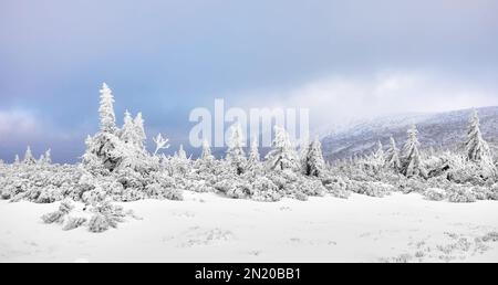 Panorama invernale delle montagne, Monti Karkonosze, Polonia. Foto Stock