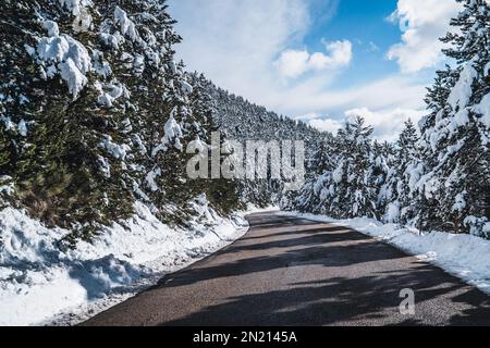 Strada asfaltata vuota e tortuosa circondata da neve. Paesaggio invernale di alberi innevati e foresta innevata. Foresta di abete rosso sempreverde. Paesaggio alpino. VCA Foto Stock