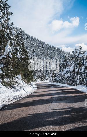 Strada asfaltata vuota e tortuosa circondata da neve. Paesaggio invernale di alberi innevati e foresta innevata. Foresta di abete rosso sempreverde. Paesaggio alpino. VCA Foto Stock