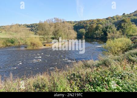 Fiume Wye e la Foresta di Dean in autunno, Lower Lydbrook, Gloucestershire, Regno Unito, ottobre 2022. Foto Stock