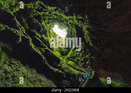 I turisti guardano in alto all'interno dell'Algar do Carvão, un tubo di lava verticale che scende a 300 metri dalla superficie accessibile da una stretta scala a una piscina d'acqua trasparente in fondo alle montagne centrali, l'isola di Terceira, le Azzorre, il Portogallo. Foto Stock