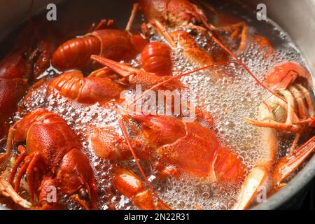 Gamberi freschi e deliziosi in acqua bollente, primo piano Foto Stock