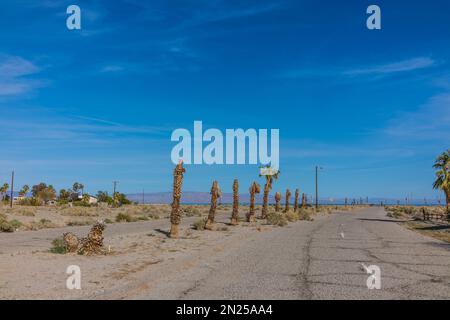 Il Salton City Yacht Club Place è l'ingresso stradale dello Yacht Club abbandonato. Lungo la strada ci sono una fila di palme morte e morente che parlano Foto Stock