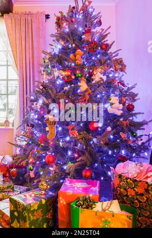 Albero di Natale illuminato e regali avvolti in soggiorno all'interno della vecchia casa Canadiana 1886 stile cottage. Foto Stock