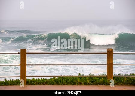 Grande surf invernale visto da Ellen Browning Scripps Park. Fotografato a la Jolla, California, USA. Foto Stock