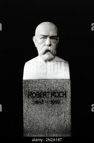 1920 ca , GERMANIA : il ma dedicato al dottor TEDESCO ROBERT KOCH ( 1843 - 1910 ), autore e luogo sconosciuti . Divenne famoso per la scoperta del bacillus antrace ( 1877 ), del bacillus tuberculosis ( 1882 ) e del cholera vibrio ( 1883 ) e per il suo sviluppo dei postulati di Koch. Nel 1905 gli è stato conferito il Premio NOBEL per la fisiologia o la medicina per i suoi risultati in materia di tubercolosi . È considerato uno dei fondatori della batteriologia Unknown scultor . - BATTERIOLOGO - TBC - BATTERIOLOGIA - TUBERCOLOSI - ANTRACE - PREMIO NOBEL PER LA MEDICINA - VIROLOGIA - VIRUS - VIROLOGO - MEDICINA Foto Stock