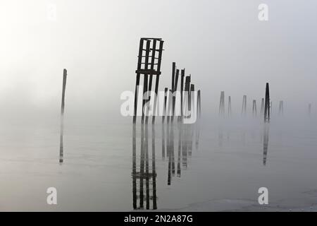 Le palafitte di legno sorgono dall'acqua calma in una mattinata nebbiosa a gennaio sul fiume Pend Oreille, nel nord-est dello stato di Washington. Foto Stock