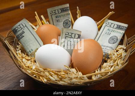 Una foto concettuale che mostra le fatture di venti dollari in un cestino con le uova. Può essere usato sia come mostrare un uovo di nido o uova troppo costose. Foto Stock