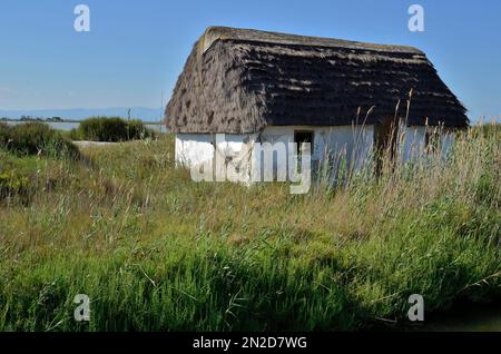 Casa del pescatore con tetto di paglia nel Delta Ebro, Catalogna, Spagna Foto Stock