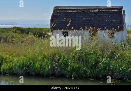 Casa del pescatore con tetto di paglia nel Delta Ebro, Catalogna, Spagna Foto Stock