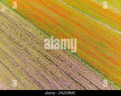 Veduta aerea del piano Grande di Castelluccio di Norcia, Parco Nazionale dei Sibillini, Umbria, Italia Foto Stock