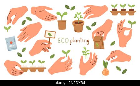 Eco impianto. Pianta e germoglio che crescono in mani piano vettore di progettazione Illustrazione Vettoriale