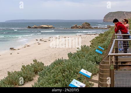 Visitatori a Seal Bay, Kangaroo Island Foto Stock