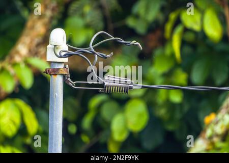 Un vecchio polo di potenza che supporta linee elettriche ad alta tensione, uno sfondo sfocato di foglie verdi Foto Stock