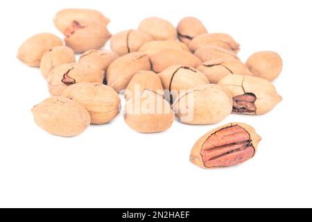 Noci pecan sparse in guscio su sfondo bianco Foto Stock