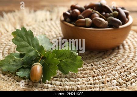 Ramo di quercia con acorno e foglie verdi su tappeto di vimini Foto Stock