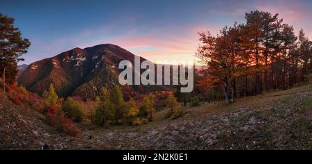 Natura con pinete e grande picco foresta al tramonto drammatico, panorama - Slovacchia collina Tlsta e valle Gaderska, Velka Fatra Foto Stock