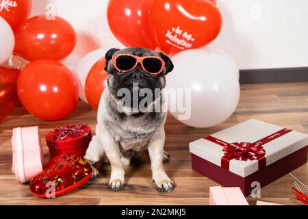 Un divertente fresco boccale con bicchieri celebra San Valentino tra palline rosse e bianche con un mazzo di regali. Animali domestici e festivi. Foto Stock