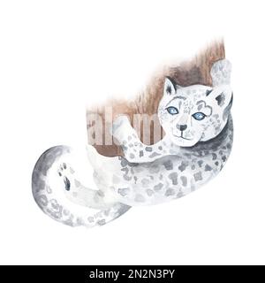 Illustrazione in acquerello di Leopard. Ritratto di Snow leopard laing vicino ad albero Foto Stock