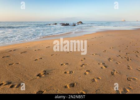 Bellissima spiaggia di Zipolite in Messico. Passi sulla sabbia. Foto Stock