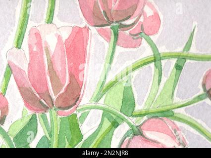 Primo piano acquerello illustrazione di tulipani rosa e foglie. Foto Stock