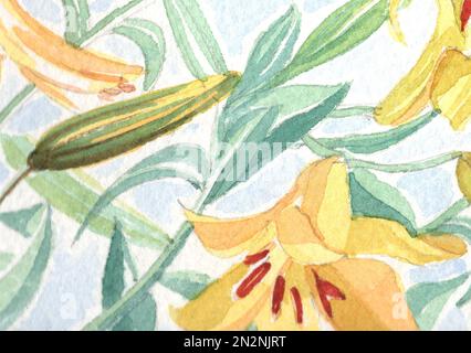 Primo piano acquerello illustrazione di fiori gialli e germogli. Foto Stock