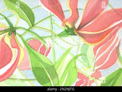 Primo piano acquerello illustrazione di fiori di color arancio honeysuckle. Foto Stock