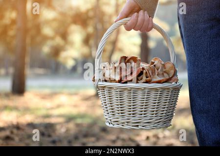 Donna che tiene un cesto di vimini con funghi selvatici freschi in foresta, primo piano Foto Stock