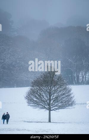 Una coppia che cammina attraverso un campo innevato in un parco boschivo nel Regno Unito meridionale. Unico albero senza foglie. Neve a terra. Boschi in background. Foto Stock