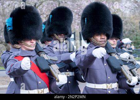 Londra, Buckingham Palace, Cambio della Guardia. Guardie irlandesi - guardie pedane della divisione Household. Guardie reali in marcia. Uniforme invernale. Sostituzione della protezione Foto Stock
