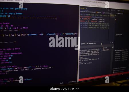 Primo piano dello schermo di un computer con il codice di un programma programmato in java. Informazioni di base relative alla programmazione del computer Foto Stock