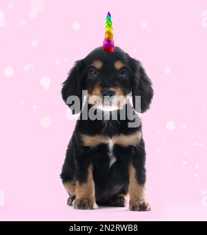 Cucciolo carino con corno unicorno arcobaleno su sfondo rosa Foto Stock