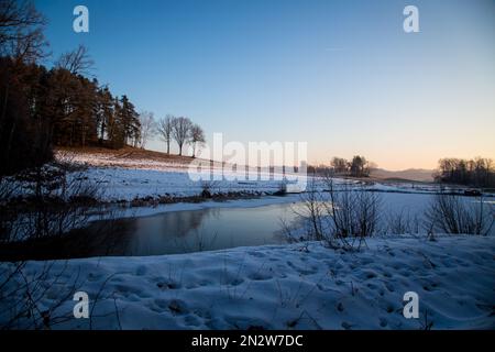 Piccolo laghetto di carpe ghiacciate in una fredda mattinata invernale, Waldviertel / Austria Foto Stock