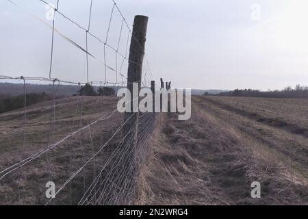 recinzione di filo nel mezzo del campo di prato Foto Stock