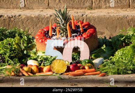 Hannover, Germania. 07th Feb, 2023. I custodi degli animali regalano una torta di compleanno di 50th dollari a un elefante di mucca allo Zoo di Hannover. Credit: Marco Rauch/dpa/Alamy Live News Foto Stock