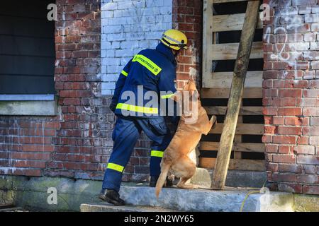 Wesel, Germania. 07th Feb, 2023. Un cane handler dall'Agenzia federale tedesca per il soccorso tecnico cerca con il suo cane su un campo di addestramento. Esperti della protezione civile provenienti da tutta Europa hanno testato la localizzazione e il salvataggio delle vittime sepolte con aiuti moderni come droni e robot durante un'operazione di terremoto simulata a Wesel. (A dpa/lnw: 'Gli esperti praticano la missione di salvataggio del terremoto con l'alta tecnologia sul basso Reno') Credit: Oliver Berg/dpa/Alamy Live News Foto Stock