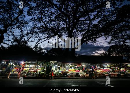 Quezon City, Filippine. 7th Feb, 2023. Una fila di bancarelle di frutta e verdura sono visti a Quezon City, le Filippine, 7 febbraio 2023. L'inflazione nelle Filippine ha accelerato a 8,7 per cento nel gennaio anno-su-anno, il tasso mensile più alto dal novembre 2008, l'autorità di statistica filippina (PSA) ha detto martedì. Credit: Rouelle Umali/Xinhua/Alamy Live News Foto Stock