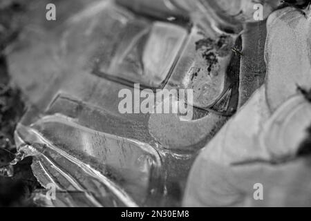 Crepe estetiche in una pozza d'acqua gelata nei boschi Foto Stock