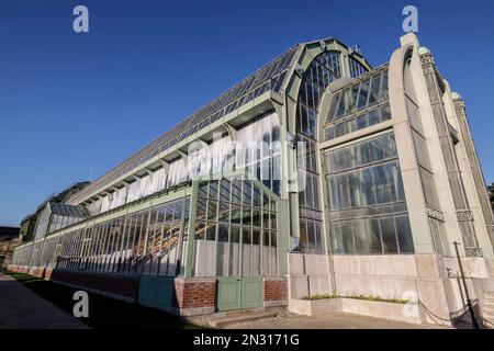 UNA MOSTRA DI MILLE ORCHIDEE NELLE GRANDI SERRE DEL JARDIN DES PLANTES A PARIGI Foto Stock