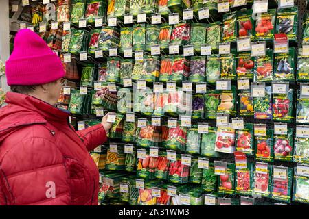 Nel negozio vengono venduti semi di verdure, erbe e insalate verdi. I compratori scelgono i semi vegetali in un deposito fra un vasto assortimento. Foto Stock