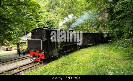 Treno a vapore vintage che attraversa le montagne dei Carpazi in Maramures Romania. Foto Stock