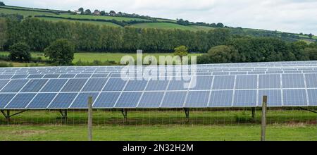 Array di pannelli solari installati in una fattoria nel Devon orientale UK in parallelo con una linea di alberi e fornendo energia alla rete nazionale Foto Stock