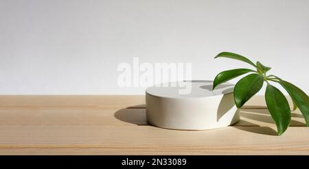 Podio per la presentazione dei prodotti cosmetici. Forma geometrica minima astratta. Sfera di pietra del cilindro una forma, ombra. Scena per mostrare i prodotti. Vetrina, Foto Stock