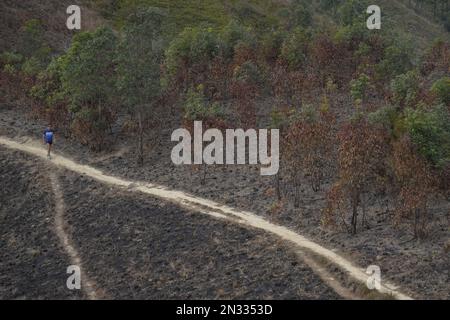 Conseguenze del fuoco selvaggio a Kai Kung Leng (Rooster Ridge) nel Lam Tsuen Country Park, Yuen Long. Almeno 2 sentieri di fiamme sul monte Kai Kung Leng bruciati per 16 ore il 24 gennaio 2023. 01FEB23 SCMP / Elson li Foto Stock