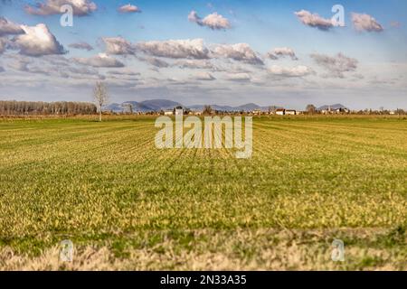 Pittoresco paesaggio della Val Padana, con i suoi vasti campi coltivati e le suggestive strade di campagna. Perfetto per progetti legati all'agricoltura, rurale l Foto Stock