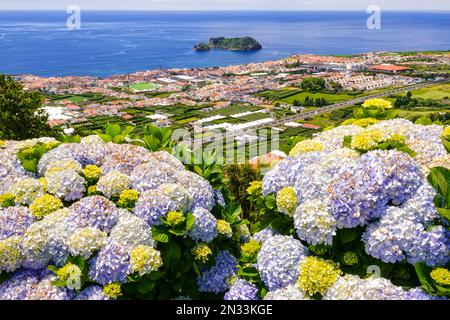 Vista dell'isolotto di Vila Franca al largo della costa vista dalla vista della Nossa Senhora da Paz o della cappella di nostra Signora della Pace, tra i fiori selvatici di hortensia a Vila Franca do campo nell'isola di Sao Miguel, Azzorre, Portogallo. Foto Stock